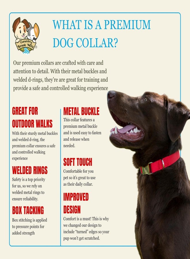 كانتري بروك ديزاين طوق كلاب من النايلون الفاخر من كانتري بروك بيتز مزود بإبزيم معدني للسلالات الصغيرة والمتوسطة والكبيرة - أكثر من 10 ألوان دافئة (كبير، 1 بوصة، أحمر ساطع) - Image 5